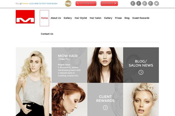 Site using Wp-responsive-menu-updated-19-08-2015 plugin