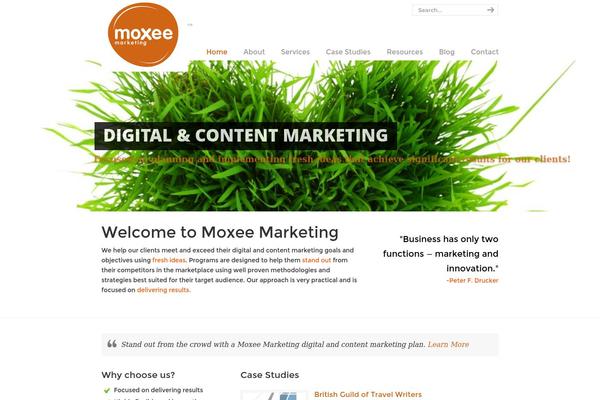 Site using Fancier Author Box by ThematoSoup plugin