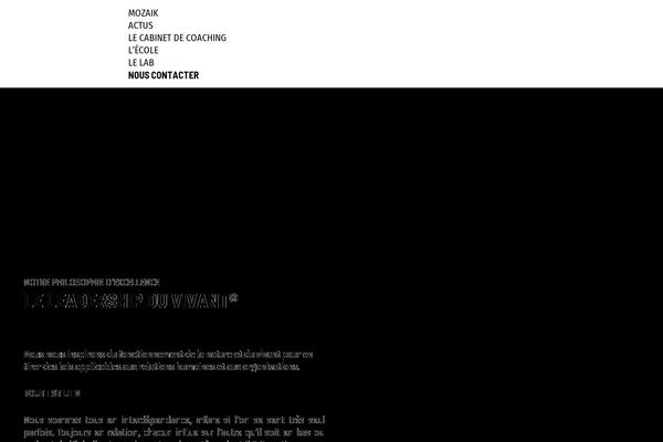 mozaik.fr site used Mmdwc