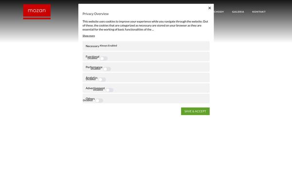 Restorator theme site design template sample