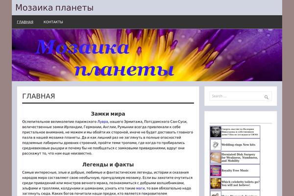 Dynamic News Lite theme site design template sample