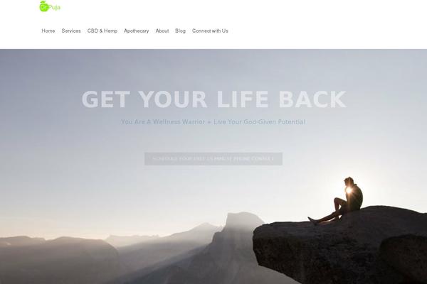 Site using Widgets for SiteOrigin plugin