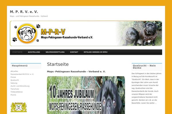Techism theme site design template sample