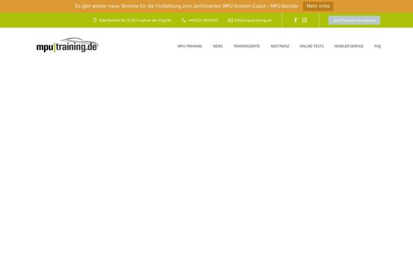 Site using Thegem-elements plugin