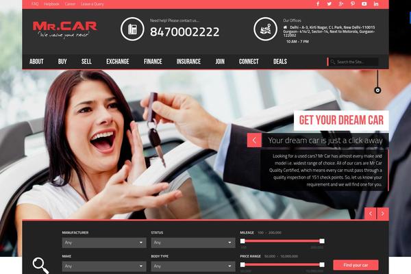 Shandora theme websites examples