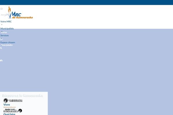 Pro theme site design template sample