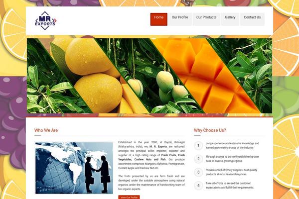 mrexports.net site used Ttheme