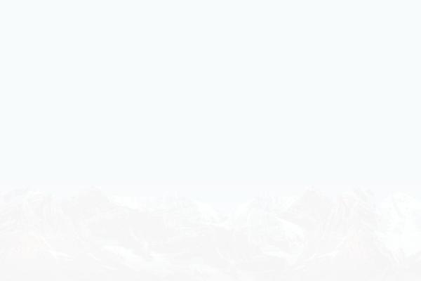 onetone theme site design template sample