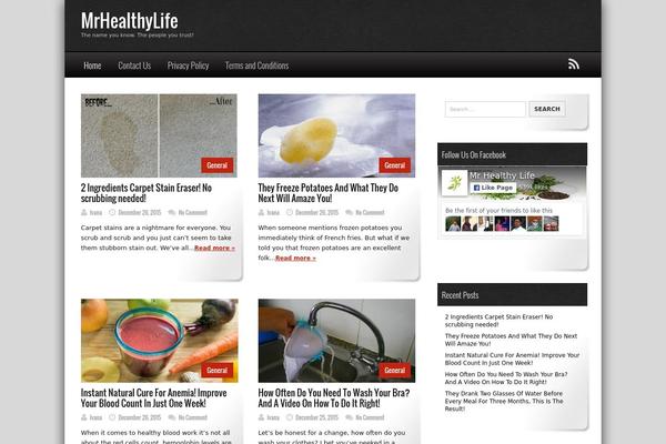 Emmet Lite theme site design template sample