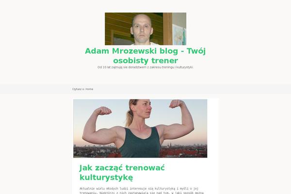 mrozewski.pl site used Satu