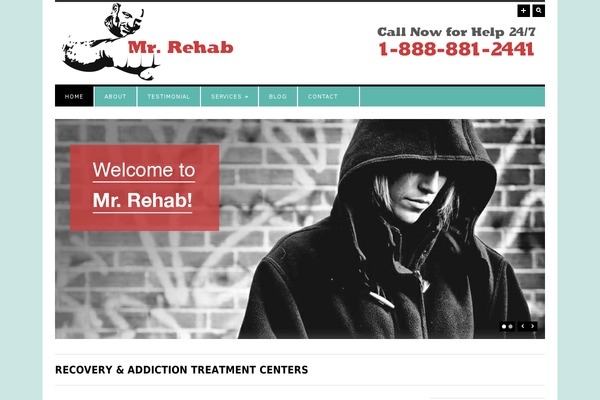 Surplus theme site design template sample