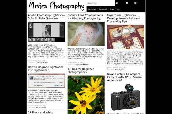 Paragrams theme site design template sample