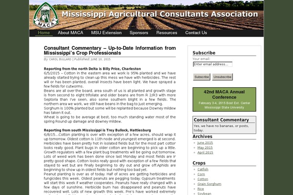 WordPress website example screenshot