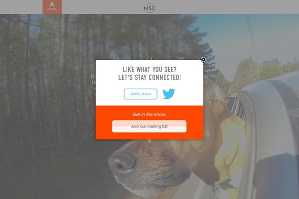 Msc theme site design template sample
