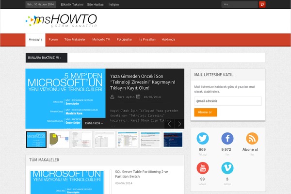 mshowto.org site used Theme19