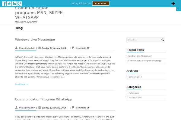Biznez Lite theme site design template sample