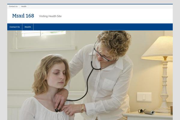 Smartline Lite theme site design template sample