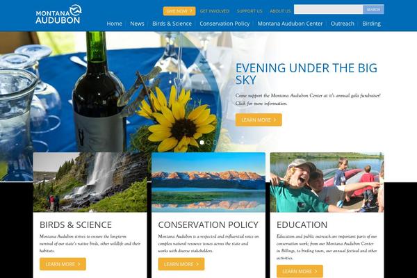 Site using Popup-builderPro plugin