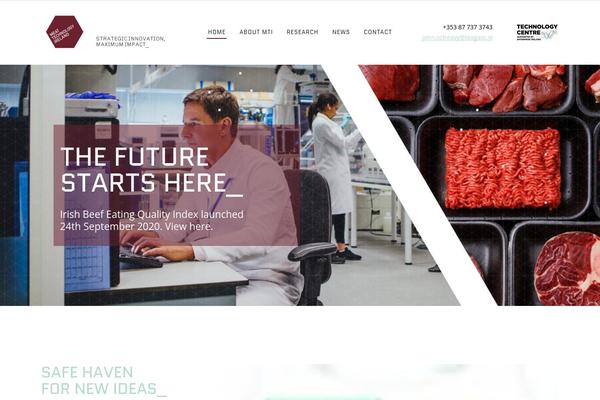 Ambient theme site design template sample