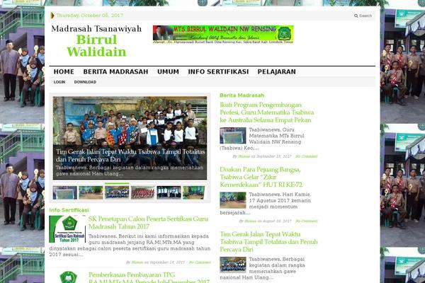 Default Mag theme site design template sample