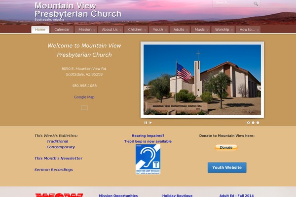 PureVISION theme site design template sample