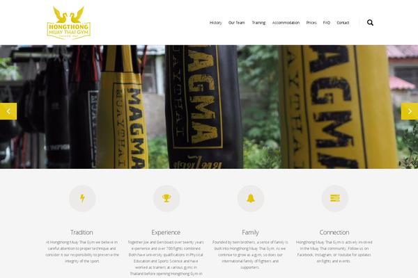 Salient theme site design template sample