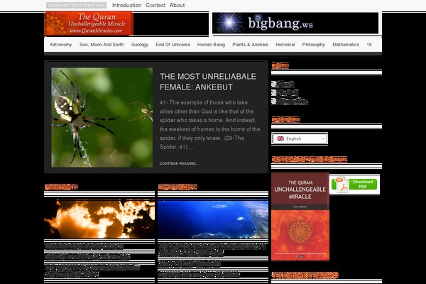Bravada theme site design template sample