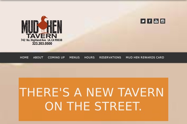 Nash theme site design template sample