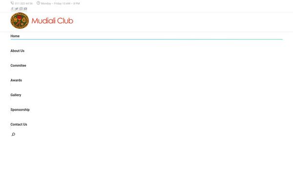 Site using Soundy Background Music plugin