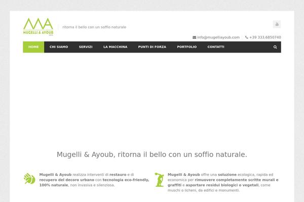 Site using Web-font-social-icons plugin