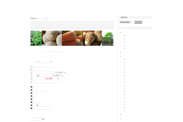 Wp.vicuna.ext theme site design template sample