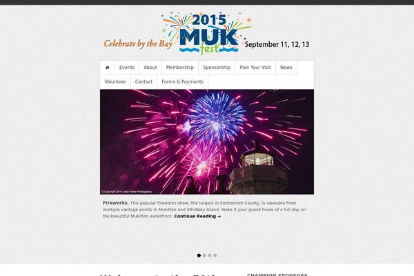 Festy theme site design template sample