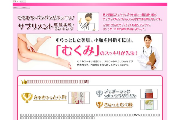 Twenty Thirteen theme site design template sample