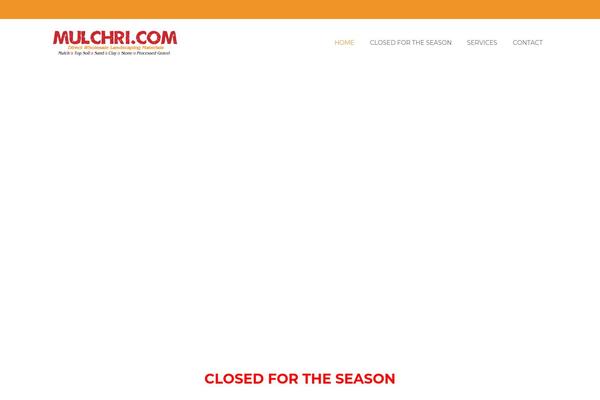The Company theme site design template sample