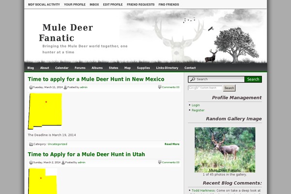 Lonelytree theme site design template sample