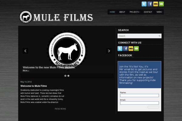 Denitto theme site design template sample