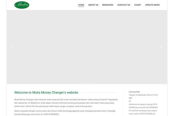 The7 theme site design template sample