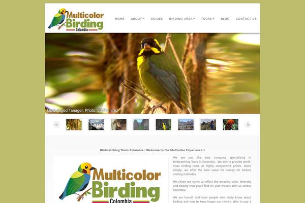 Dandelion_v2.6.1 theme site design template sample