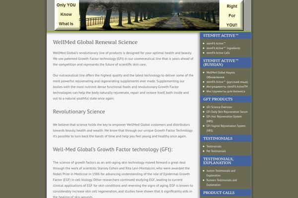InstaTheme theme site design template sample