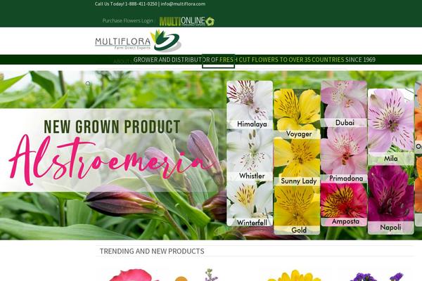 Site using WordPress Countdown Widget plugin