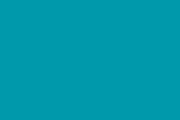 Site using Coordinadora plugin