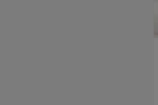 Gonzo theme site design template sample