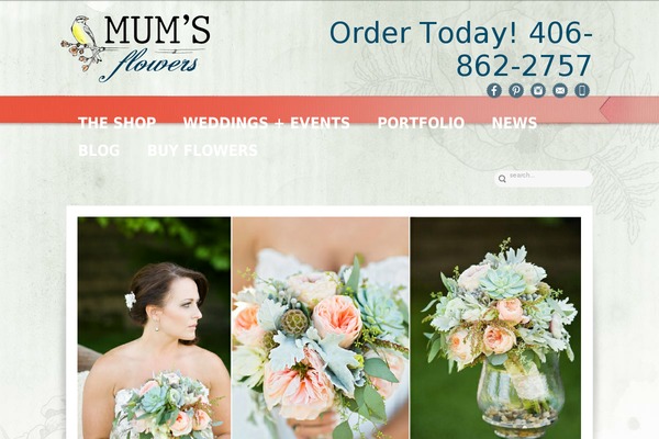 Site using FBF Facebook page Feed Widget plugin