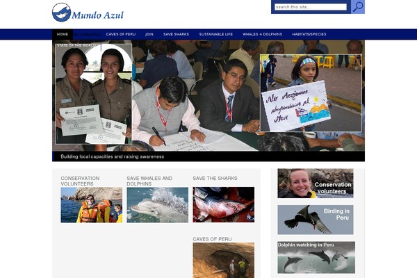 Republica theme site design template sample