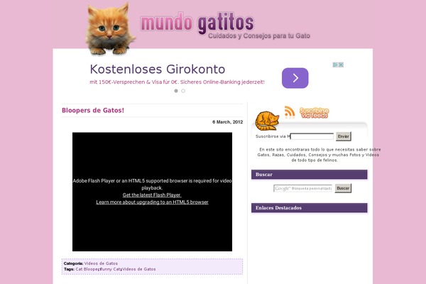 mundogatitos.com site used Nimble2
