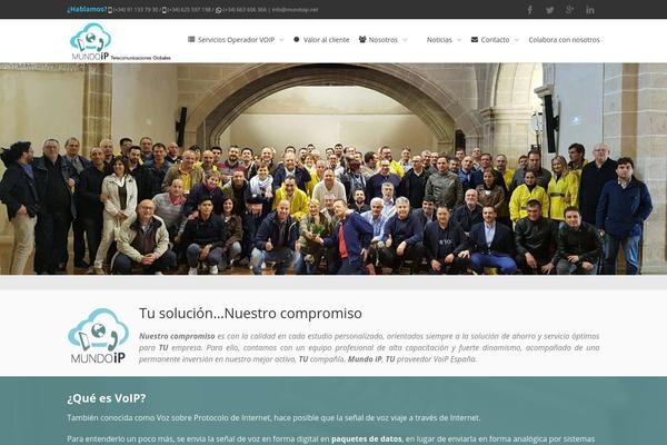 Converio theme site design template sample