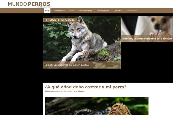 Site using Responsive-lightbox-pro plugin