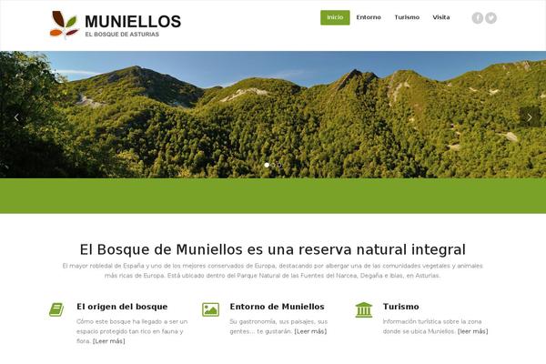 Site using WPSocialite plugin
