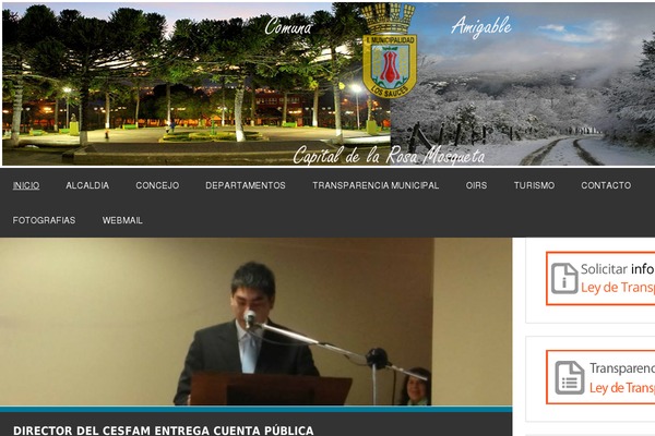 zeeDynamic theme site design template sample