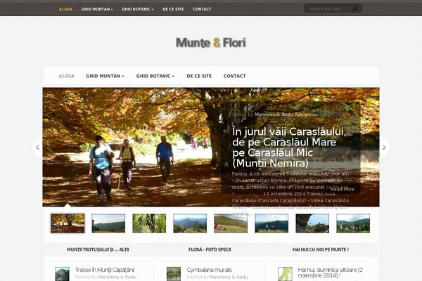 Aggregate theme site design template sample